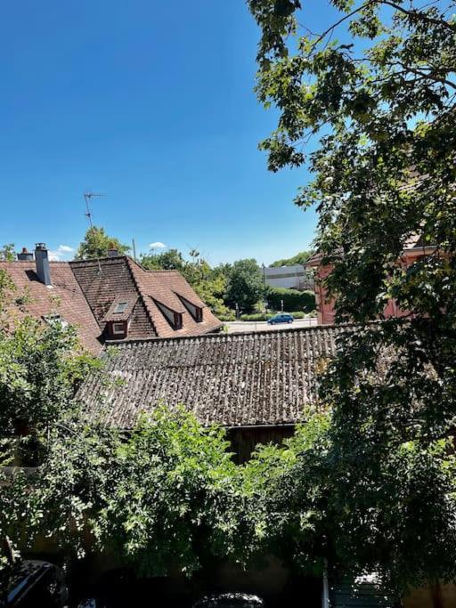 Appartement De Charme Alsacien, Centre Historique Sélestat Eksteriør billede
