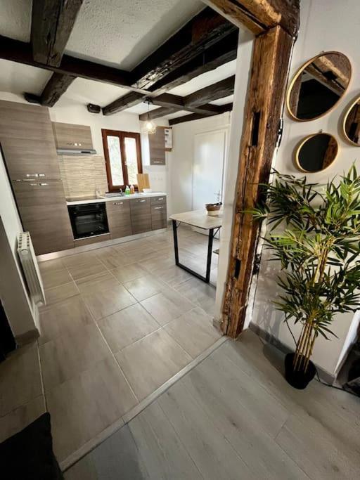 Appartement De Charme Alsacien, Centre Historique Sélestat Eksteriør billede