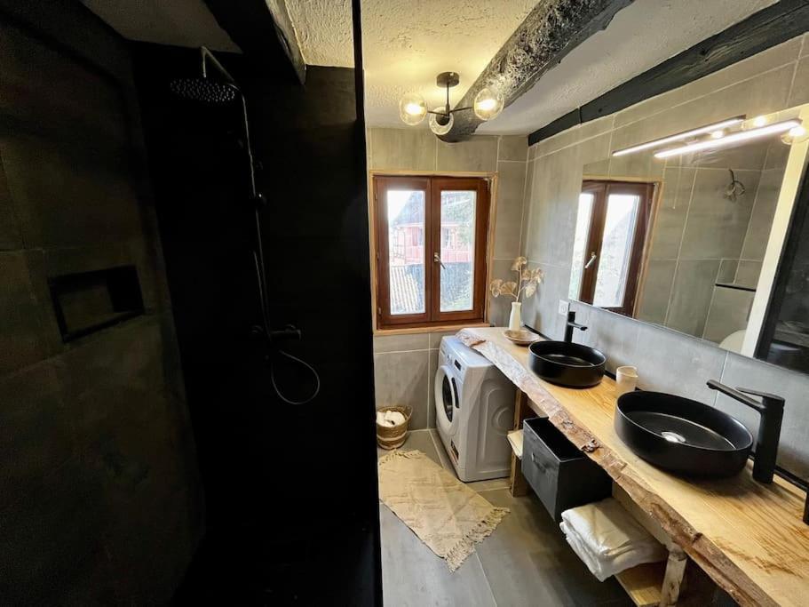 Appartement De Charme Alsacien, Centre Historique Sélestat Eksteriør billede