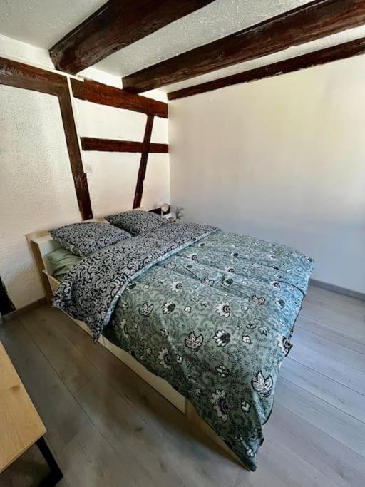 Appartement De Charme Alsacien, Centre Historique Sélestat Eksteriør billede