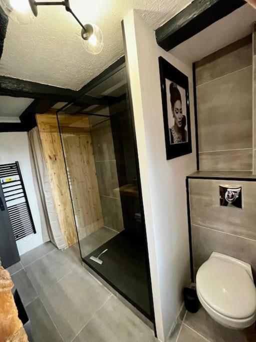 Appartement De Charme Alsacien, Centre Historique Sélestat Eksteriør billede